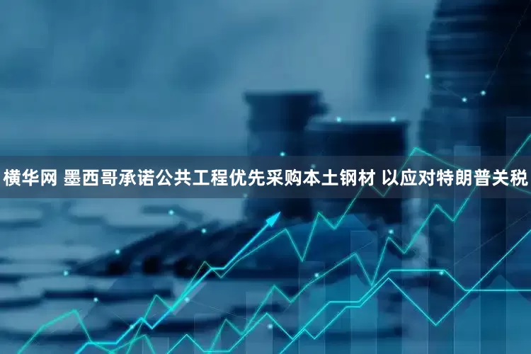 横华网 墨西哥承诺公共工程优先采购本土钢材 以应对特朗普关税