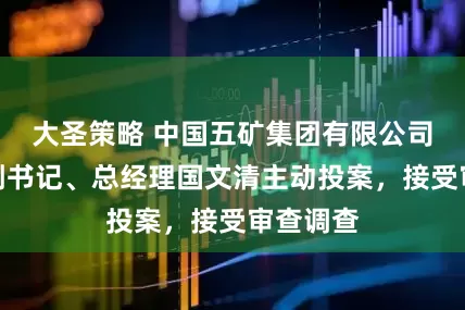 大圣策略 中国五矿集团有限公司原党组副书记、总经理国文清主动投案，接受审查调查